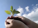 Jewish Education Endowment Fund